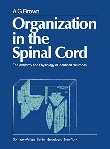 Organization in the spinal cord