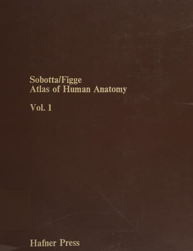 Atlas der deskriptiven Anatomie des Menschen