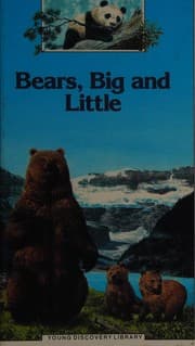 L'ours, un géant pas si tranquille