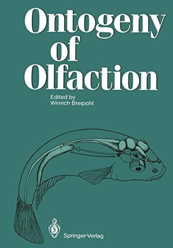 Ontogeny of Olfaction