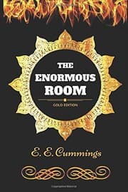 Enormous Room