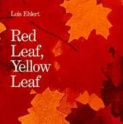 Red leaf, yellow leaf