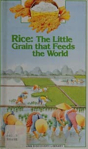 Le riz, ce grain si petit qui nourrit le monde