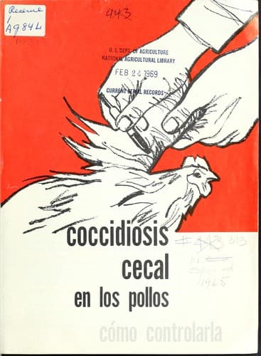 Coccidiosis cecal en los pollos