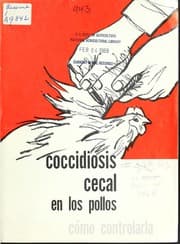 Coccidiosis cecal en los pollos