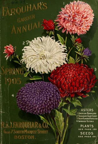 Farquhar's garden annual