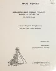 Final report