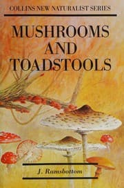 Mushrooms & toadstools