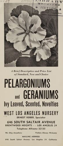 Pelargoniums and geraniums, ivy-leaved, scented, novelties