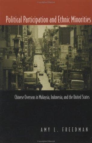 Political Participation and Ethnic Minorities