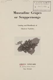 Muscadine grapes or scuppernongs