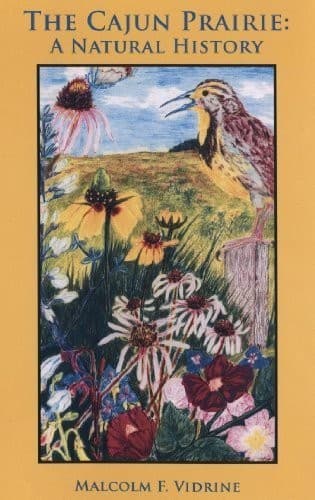 The Cajun Prairie