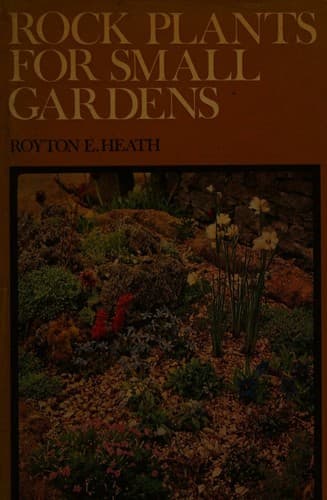 Rock plants for small gardens