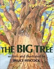 The big tree