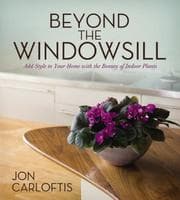 Beyond the windowsill