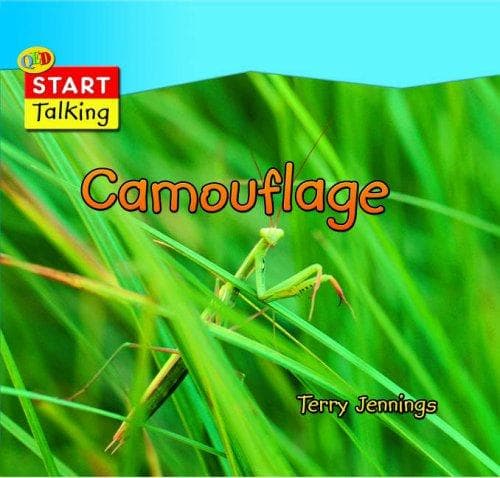 Camouflage (Start Talking)