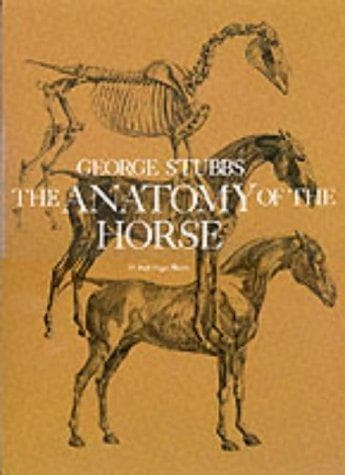 The anatomy of the horse