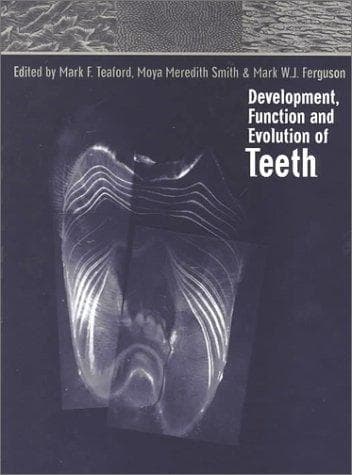 Development, function, and evolution of teeth