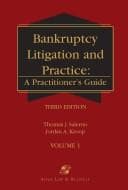 Bankruptcy litigation and practice