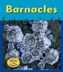 Barnacles