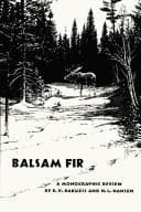 Balsam Fir