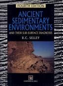 Ancient sedimentary environments and their sub-surface diagnosis