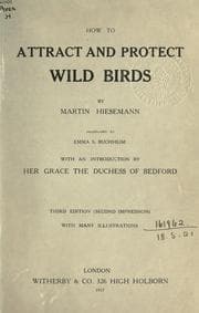 How to attract and protect wild birds
