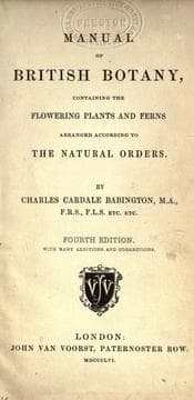 Manual of British botany