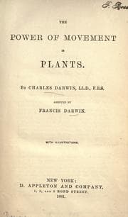 The power of movement in plants