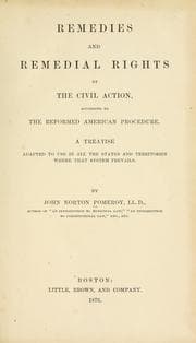 Remedies and remedial rights by the civil action, according to the reformed American procedure