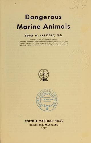 Dangerous marine animals