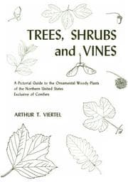 Trees, shrubs and vines