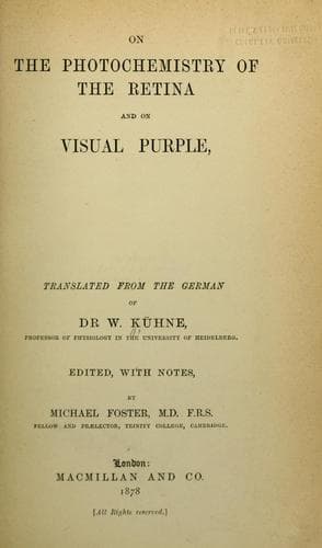 On the photochemistry of the retina and on visual purple
