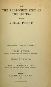 On the photochemistry of the retina and on visual purple