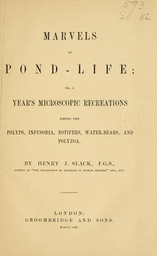 Marvels of pond-life