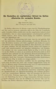 Die Mastzellen als regelm©Þssiger Befund im Bulbus olfactorius des normalen Hundes