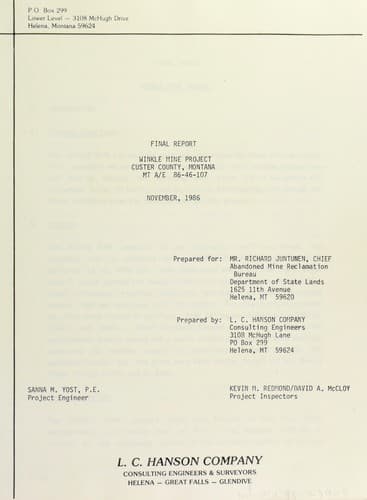 Final report