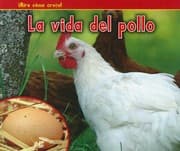 A Chicken's Life