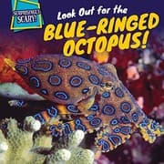 Look Out for the Blue-Ringed Octopus!