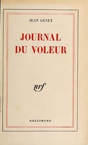 Journal du voleur