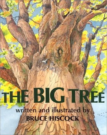 The big tree