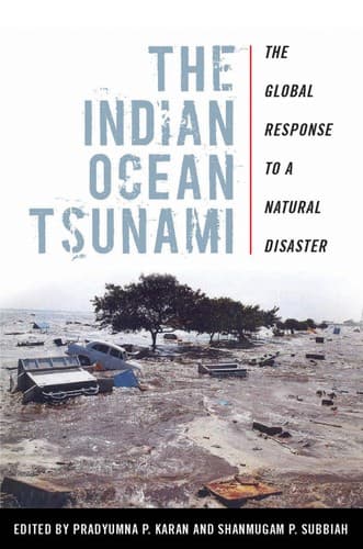 The Indian Ocean tsunami